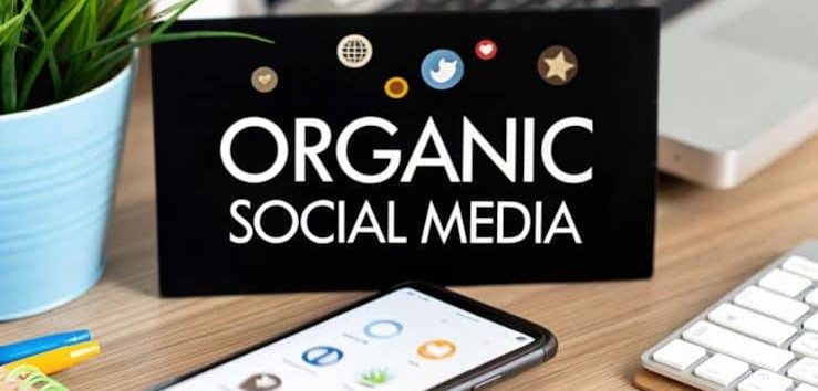 How to Grow Your Brand Organically on Social Media